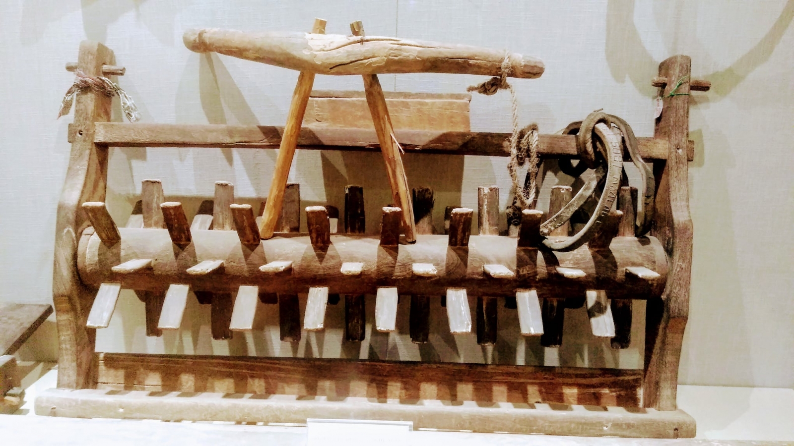 Bảo tàng tổng hợp Quảng Bình 16