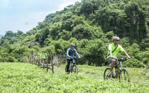 Các cung đường đạp xe khám phá Phong Nha Kẻ Bàng